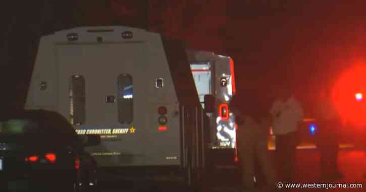Pregnant Woman Used AR-15 to Drop Armed Robber Attacking Her 11-Year-Old Daughter