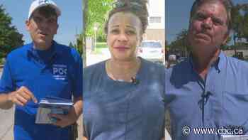 Greener economy, urban sprawl top of mind for voters in Windsor-Tecumseh - CBC.ca