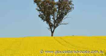 Records forecast for Aust agriculture - Gloucester Advocate