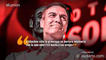 La frivolidad de Pedro Sánchez - Okdiario