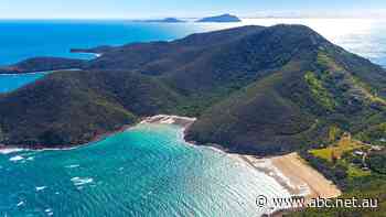 Lots for sale on tropical Queensland's Keswick Island, with one for as little as $30k - ABC News