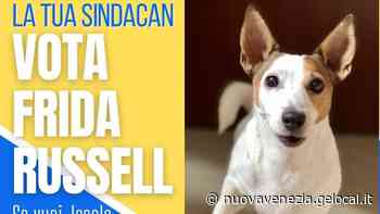 Jesolo, spopola la “sindacan” Frida Russel: profilo social per i diritti degli animali - La Nuova Venezia