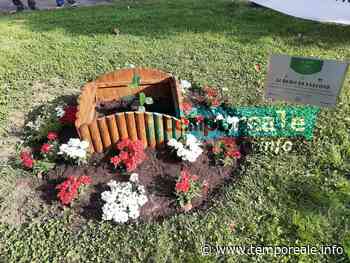 Formia / Trentennale della strage di Capaci: piantumata la talea dell' "Albero di Falcone" [VIDEO] | temporeale quotidiano - Temporeale Quotidiano