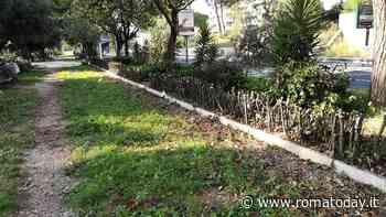 Municipio XV, a vuoto il bando per gli spettacoli estivi