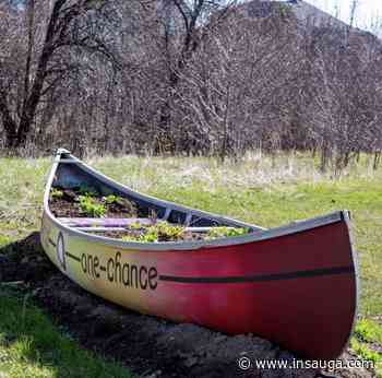 Volunteers wanted to maintain Milton Public Library's Indigenous Garden | inHalton - insauga.com