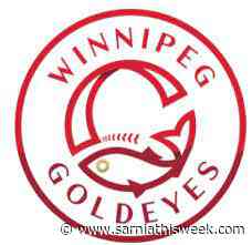 Goldeyes take rubber match of weekend series with Saltdogs - Sarnia and Lambton County This Week