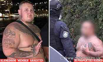 Sydney crime network shut down as cops raid 20 properties and countless are arrested - Daily Mail
