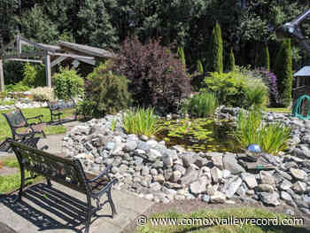 Comox’s Gardens on Anderton now open for the season - Comox Valley Record