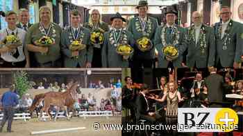 Flotte Fohlen, freche Lieder und ein neuer König in Helmstedt