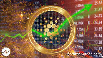 Cardano (ADA) Price Surges 14% in Last 24 Hours, Institutional Inflows Surge - Cardano Feed