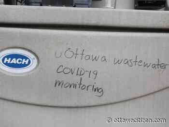 COVID-19: What you need to know on Monday, June 6