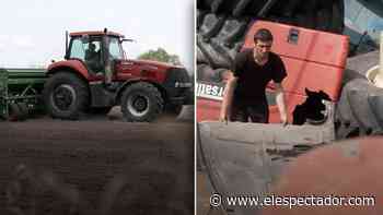 Minas y puertos bloqueados afectan a la agricultura en Ucrania - El Espectador