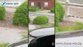Stortbui zet huis in Wielsbeke onder water - Focus en WTV