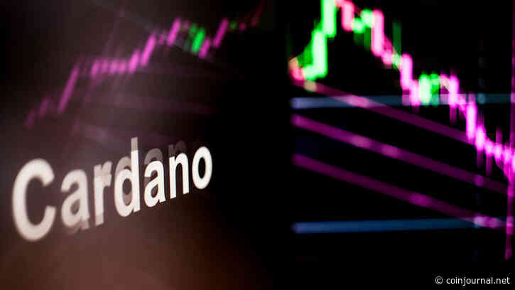 Why is Cardano up by 11% in the last 24 hours?