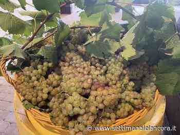 Torna "Canelli VinCanta" appuntamento a fine giugno - L'Ancora