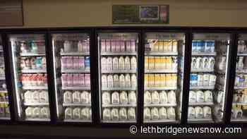 Dairy Farmers in Canada ask to raise the price of milk - Lethbridge News Now