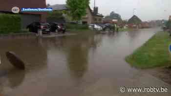 OVERZICHT: ook Zoutleeuw en Geetbets slikken bijzonder veel water - ROB-tv