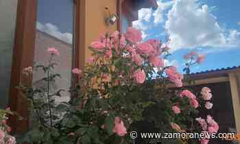 Tiempo en Zamora: Comienza el ascenso de temperaturas con termómetros a 30 grados - Zamora News