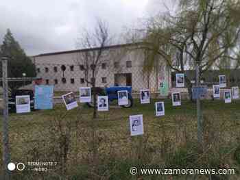 Cinco centros de la provincia de Zamora obtienen el "sello educativo sostenible" - Zamora News