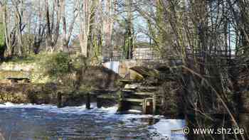 Barmstedt: So soll die neue Fischtreppe am Rantzauer See aussehen - shz.de