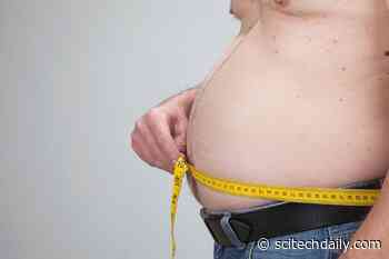Obesity Might Be a Result of Your Body’s Chemistry