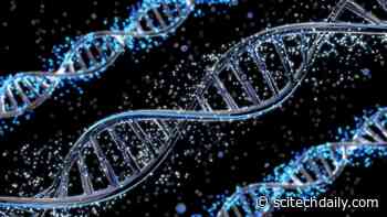 A Potential Cure for Autism: New Research Finds That Gene Therapy Could Treat Pitt-Hopkins Syndrome