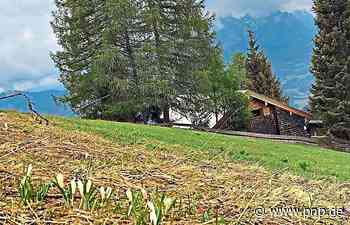 DAV hat Freilassinger Hütte wieder fit für den Sommer gemacht - Passauer Neue Presse - PNP.de