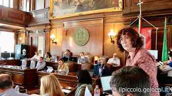 Trieste, prosegue in Consiglio il dialogo fra maggioranza e opposizione: approvata la sezione slovena all'asilo di San Giovanni - Il Piccolo