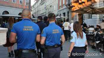 Trieste guida la protesta degli addetti alla vigilanza: «Pochi soldi, tanti rischi» - Il Piccolo