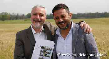 Ardea, Mari-Tedesco (Pd): Mercoledì 8 giugno incontro di chiusura campagna elettorale presso la Pineta dei Liberti - MeridianaNotizie