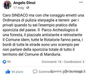MANDURIA - Incendio al Parco archeologico: Angelo Dinoi, in un post del 17 maggio, aveva rimarcato la pericolosa presenza di sterpaglie - ManduriaOggi