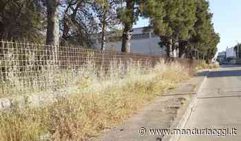 MANDURIA - Ordinanza sulle sterpaglie, «Guardiamo sempre la sterpaglia altrui» - ManduriaOggi