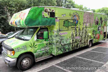 L'erba di New York è sempre più… legale: il piano cannabis-friendly di Adams e Hochul - La Voce di New York