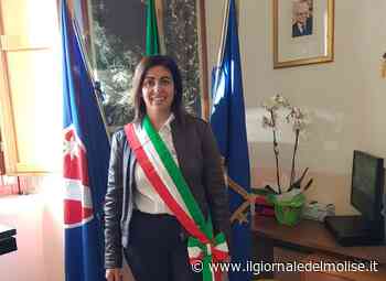 Erba alta a San Pietro Avellana, De Caprio replica: "Non ci abbassiamo a queste provocazioni" - Il Giornale del Molise