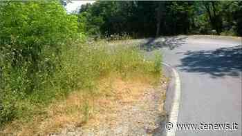 Strade provinciali elbane, via al taglio dell’erba - tenews.it