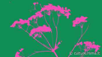 DI TUTTA L'ERBA - Culture - Culture.roma.it