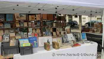 Frontignan : foire aux livres le 28 mai, l'Afrique sub-saharienne à l'honneur - Hérault Tribune