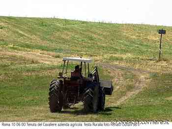 Provaglio d'Iseo, muore travolto dal trattore mentre falcia l'erba nel suo campo - Corriere della Sera