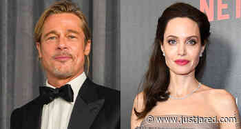 Brad Pitt Accuses Angelina Jolie of Purposely Harming Reputation of Their Wine Company, New Lawsuit Claims