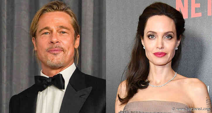 Brad Pitt Accuses Angelina Jolie of Purposely Trying to 'Inflict Harm' on His Reputation by Selling Her Half of Wine Company, New Lawsuit Claims