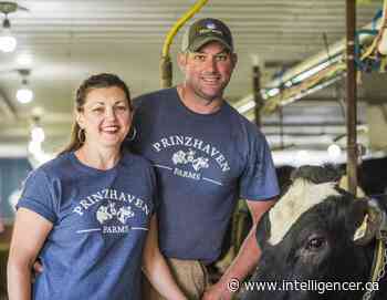 Dairy farmers feeling inflation squeeze - Belleville Intelligencer
