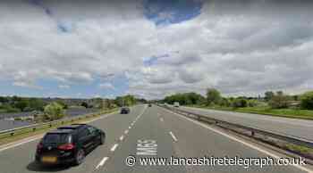 Six young children spotted "running in and out of traffic" on M65