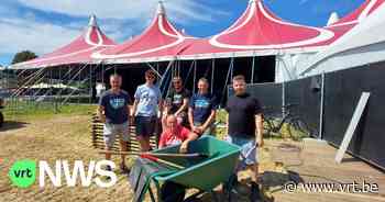 Festival Gladiolen in Olen start vandaag met milieuvriendelijke editie - VRT NWS