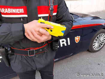 Sicurezza: Molteni, dal 6 giugno il taser in uso a Melfi - Agenzia ANSA