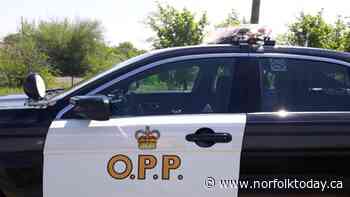 19-Year-Old Arrested After Threatening Store Employee In Hagersville - NorfolkToday.ca