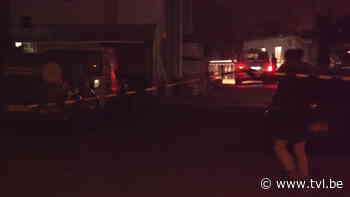 Roemeense fruitplukker doet moord op zijn collega over in Alken - TV Limburg