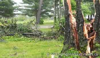 Storm leaves a trail of damaged trees and trailers near the Sault - CTV News Northern Ontario