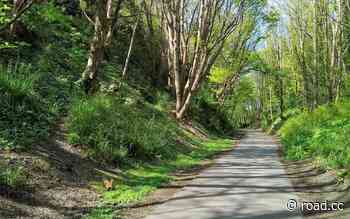 Cyclist injured by axe-wielding youths during attack along popular trail - road.cc