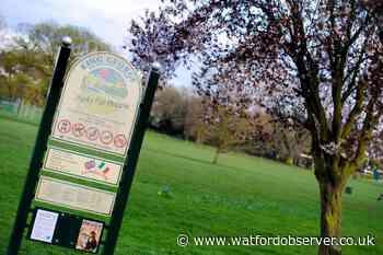 Dog walker assaulted at King George Rec Ground in Bushey