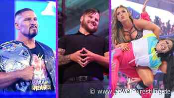 WWE NXT: Mehrere Titelwechsel bei "In Your House" - Power-Wrestling.de